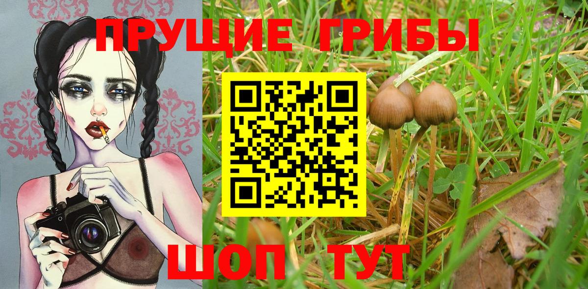 Канаш  Псилоцибиновые грибы прущие грибы  Псилоцибиновые грибы Magic Shrooms  Вход с VPN 
