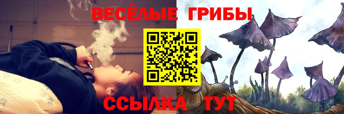 Галлюциногенные грибы Psilocybine cubensis Канаш