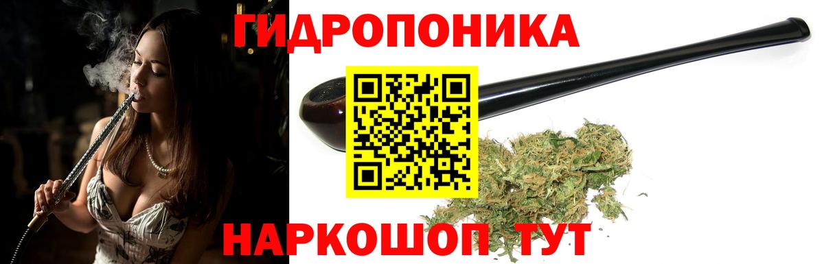 Марихуана ГИДРОПОН  Бошки марихуана OG Kush  Канаш  Вход с VPN 